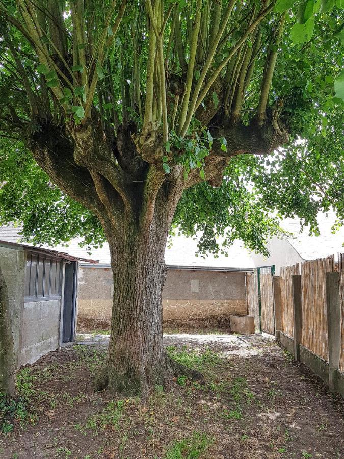 Gîte Le Carroir Veuves Extérieur photo
